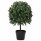 Copac Artificial Verde 35 x 35 x 50 cm Plastic