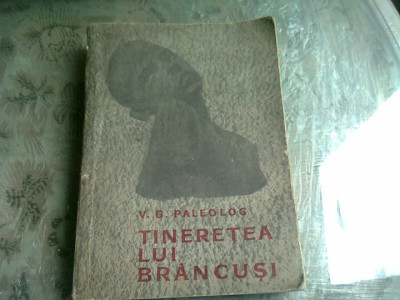 Tineretea lui Brancusi - V. G. Paleolog foto