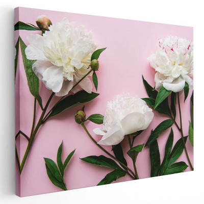 Tablou flori bujori albi fundal roz Tablou canvas pe panza CU RAMA 30x40 cm foto