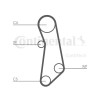 Curea distributie Contitech CT1114, CONTINENTAL CTAM