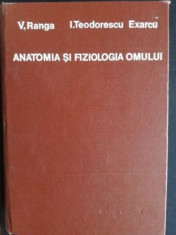 Anatomia si fiziologia omului- V. Ranga, I. Teodorescu foto