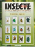 LOT 20 NUMERE ( DE LA 1 PANA LA 20 ) + GHIDUL SERIEI DIN REVISTA DEAGOSTINI - INSECTE REALE