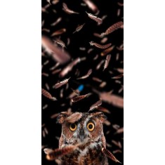 Husa Personalizata ASUS Zenfone Go ZC550TG Bufnita