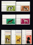 ROMANIA 1981 LP 1024 EXPOZITIA NATIONALA CANINA SERIA COLT DE COALA STARE MNH