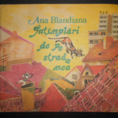Ana Blandiana - Intamplari de pe strada mea (1988, ilustratii de Doina Botez)