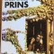 Prins - Petru Popescu