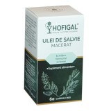 Ulei de salvie macerat, 60 capsule moi, Hofigal