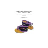 What We Were Given as Anishinaabe: Gaa-Izhi-Miinigoowizid A'Aw Anishinaabe