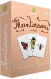 Cumpara ieftin Insecte din Romania/***