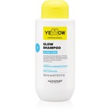Yellow Professional Hydra Care Glow Shampoo sampon hidratant pentru toate tipurile de păr 500 ml
