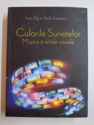 Culorile sunetelor, muzica si artele vizuale - Ioan big, Radu Lupascu foto