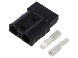 Conector Alimentare DC Hermafrodit AMPHENOL AXC500H10 600V 2 pini