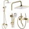 Set dus REA STORM GOLD BRUSH