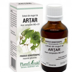 Extract din muguri de artar 50ml