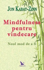 Mindfulness pentru vindecare - Jon Kabat-Zinn
