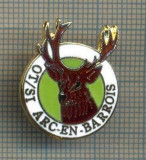 Y 1103 INSIGNA -OT/SI ARC-EN-BARROIS -SIMBOL CERB -FRANTA - PENTRU COLECTIONARI