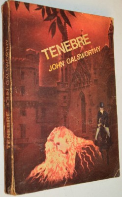 Tenebre John Galsworthy - 1990 foto