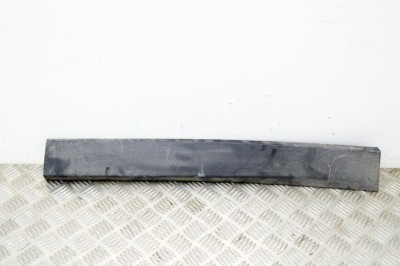 Bandou inferior ușă dreapta spate BMW X1 F48 2019 OEM: 7352094 13805388 foto