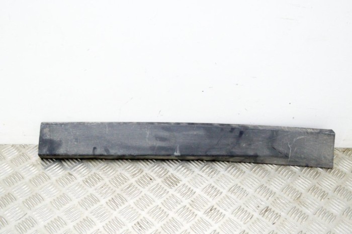 Bandou inferior ușă dreapta spate BMW X1 F48 2019 OEM: 7352094 13805388