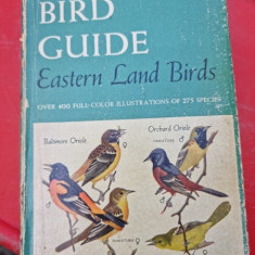 Audubon Bird guide - Richard H. Pough