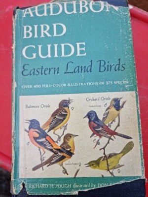 Audubon Bird guide - Richard H. Pough foto
