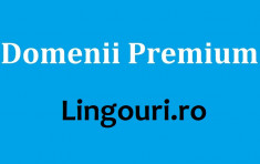 Vand site premium Lingouri.ro foto