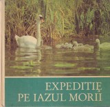 Cumpara ieftin Cartea Helmut Massny - Expeditie pe Iazul Morii, 1984, Cartonata, 24 pagini, 20x20 cm, Limba Romana