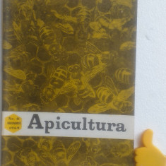 Revista Apicultura 11/1969