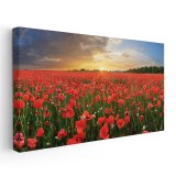 Tablou peisaj cu maci rosii la apus mac 1793 Tablou canvas pe panza CU RAMA 30x60 cm