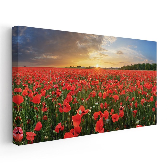Tablou peisaj cu maci rosii la apus mac 1793 Tablou canvas pe panza CU RAMA 70x140 cm