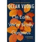 On Earth We&#039;re Briefly Gorgeous