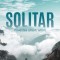 Solitar. Povestea unui triatlon - Marius Butuc