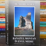 BANATUL MONTAN &icirc;n Evul Mediu - Dumitru Țeicu - Editura Banatica, Banat, Timișoara, 1998