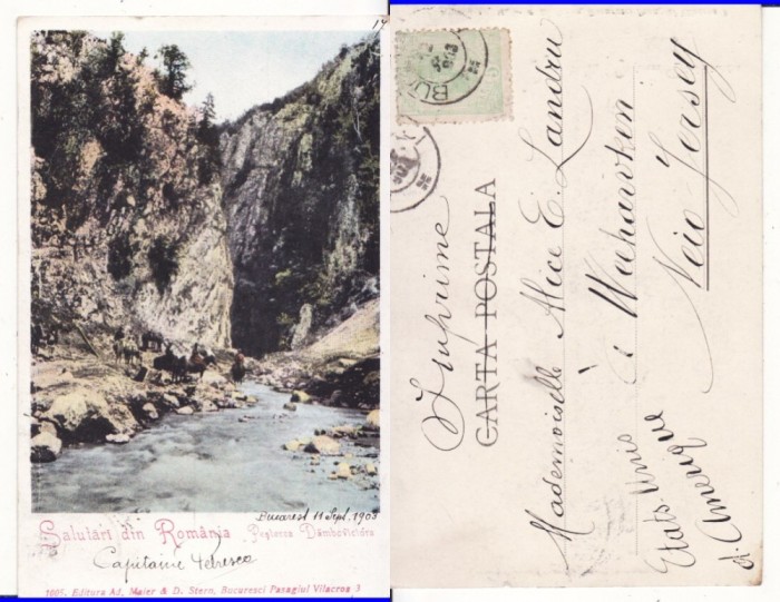 Campulung Muscel (Arges)- Pestera Dambovicioara- calsica, rara