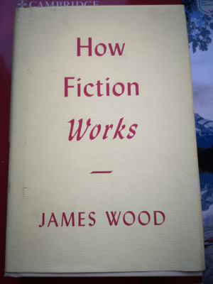 How Fiction Works - James Wood foto