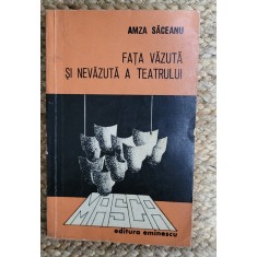 AMZA SACEANU - FATA VAZUTA SI NEVAZUTA A TEATRULUI