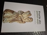 Carte fructe din pomul vietii