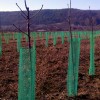 Plasa protectie pomisori Diametru 10 cm x 100 m