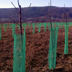Plasa protectie pomisori Diametru 10 cm x 100 m