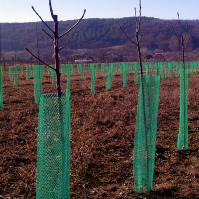 Plasa protectie pomisori Diametru 10 cm x 100 m foto