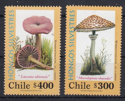Chile 2001 - CIUPERCI - MNH