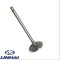 Supapa admisie originala Linhai Anniversary - Classic - Worker 2X4 &amp; 4X4 260-300cc (Yamaha Majesty 250cc)