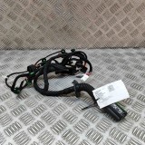 Cablaj Ușă St&acirc;nga Spate Audi e-tron GT 2022 4J3971687G OEM Original