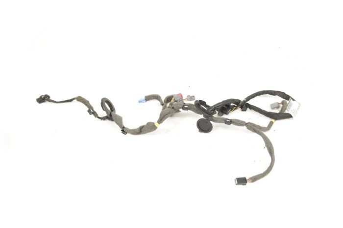 Cablaj ușă dreapta spate VOLVO V40 Hatchback 2013 OEM: 31313719 | 11691098