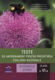 Teste de antrenament pentru pregatirea Evaluarii Nationale