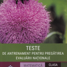 Teste de antrenament pentru pregatirea Evaluarii Nationale