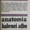 Marcel Pop Cornis - Anatomia balenei albe, 1982