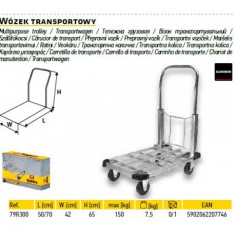 Carucior de transport pliant TOPEX 79R300 foto