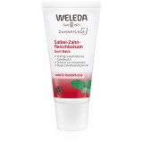 Weleda Dental Care balsam cu salvie pentru gingii 30 ml