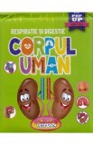 Mini pop-up: Corpul uman. Respiratie si digestie
